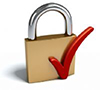 sop-resize-200-lock-secure-website